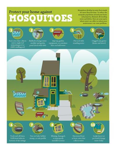 Mosquito Flyer Page 1